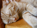 (tt)DSC08819