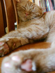 (tt)DSC08828