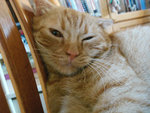 (tt)DSC08830