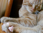 (tt)DSC08851