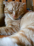 (tt)DSC08853