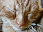 (tt)DSC08854