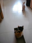 DSC09993
