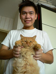 Tommy_bebu
