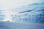 Pak_Lai10_jpg