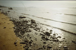 Pak_Lai7_jpg