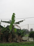IMG_0170
