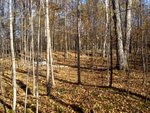 DSC02010