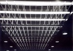 lcaroll_4f