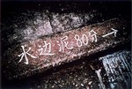 lcaroll_5d