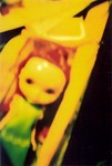 lcaroll_5i