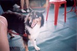 lca_roll6h