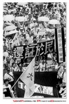 contaxroll_71-2c