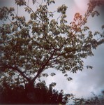 120roll_1a