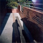 120roll_1f