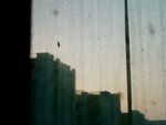 DSCF2705