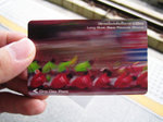 one-day pass