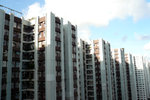 P1000831