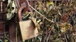 17 locked