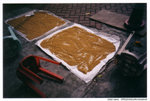 lomolca00000009 2010-04-23