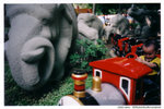 lomolca00000016 2010-04-23