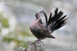 20D_IMG_000101