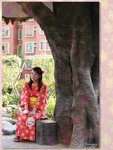 20D_IMG_000892