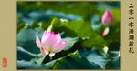 20D_IMG_024056