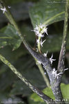 20D_IMG_002436