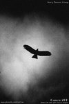 20D_IMG_001277