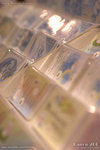 20D_IMG_004333