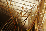 20D_IMG_004350
