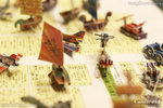 20D_IMG_004376