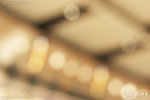20D_IMG_004384