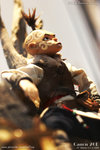 20D_IMG_004460
