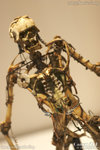 20D_IMG_004462