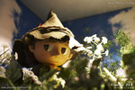 20D_IMG_004471