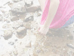 20D_IMG_005404BG