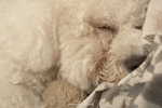 20D_IMG_022905