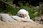 20D_IMG_022997