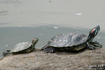 20D_IMG_000355