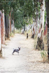20D_IMG_006439