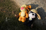 20D_IMG_013354