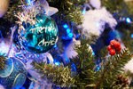 20D_IMG_017357