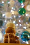 20D_IMG_017364