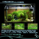 FrancisLeungAquarium010