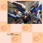 ACG2008010