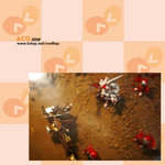 ACG2008012