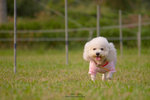 20D_IMG_023120