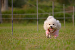 20D_IMG_023121